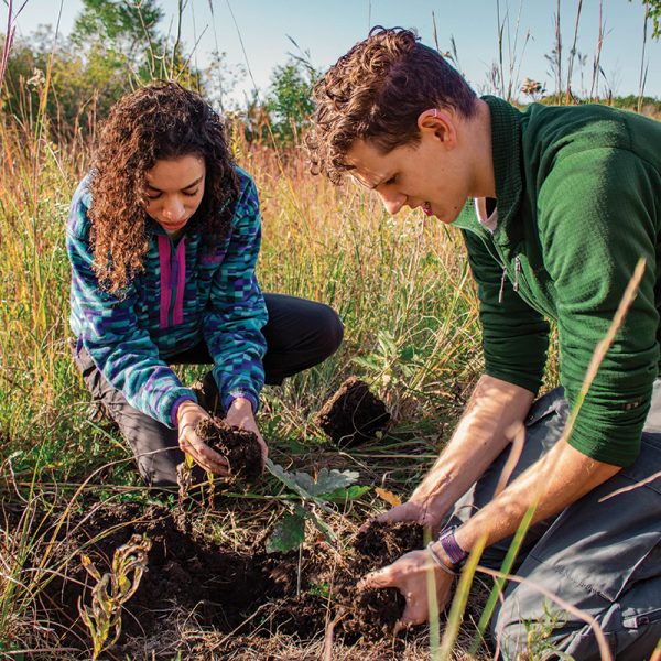 TreePlanting2019_Izzy-Henry