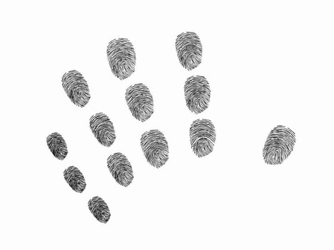 fingerprint